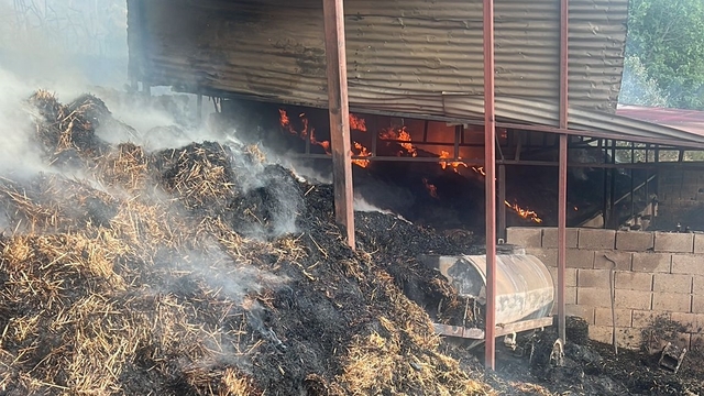 Adana'da yanan ahırda 5 inek telef oldu