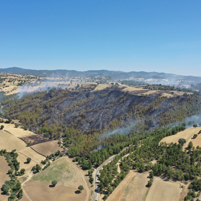Kütahya'da orman yangını (2)
