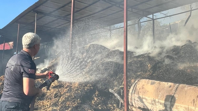 Adana'da ahır yangınında 5 inek öldü