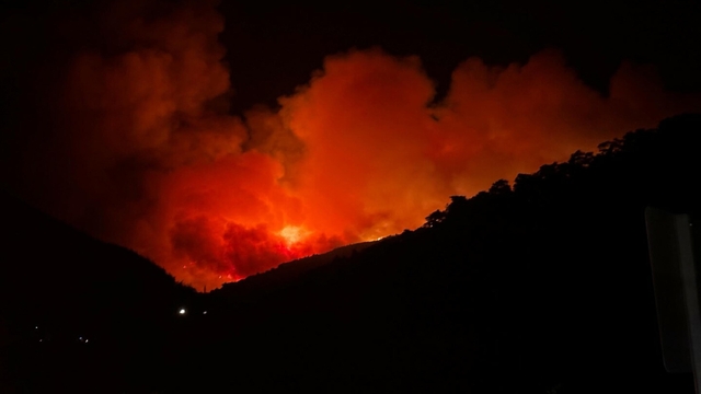 İzmir Ödemiş'te orman yangını