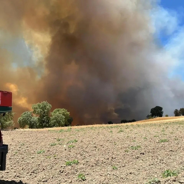Kütahya'da orman yangını (3)