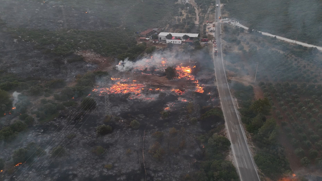 İzmir Çeşme'de orman yangını (8)
