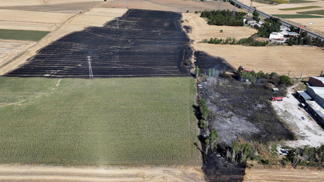 Edirne'de buğday tarlasında çıkan yangın söndürüldü