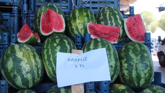 Halde kilosu 1 TL'ye düşen karpuz markette 14 TL