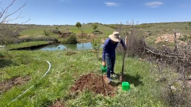 25 yıldır fidan dikiyor: Gelecek nesillere güzel şeyler bırakmak adına bunu yapıyorum