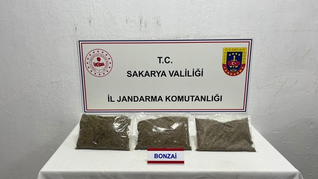 Sakarya'da 2,5 kilo bonzai ele geçirildi