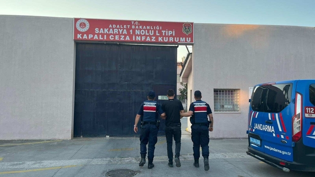 Jandarmadan kenevir operasyonu; 1 tutuklama