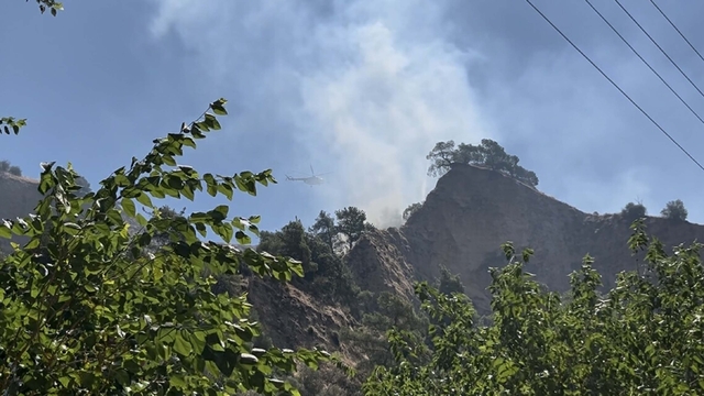 Aydın'da tarım arazisinde yangın