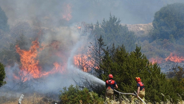 İzmir'deki orman yangını 2'nci gününde (3)