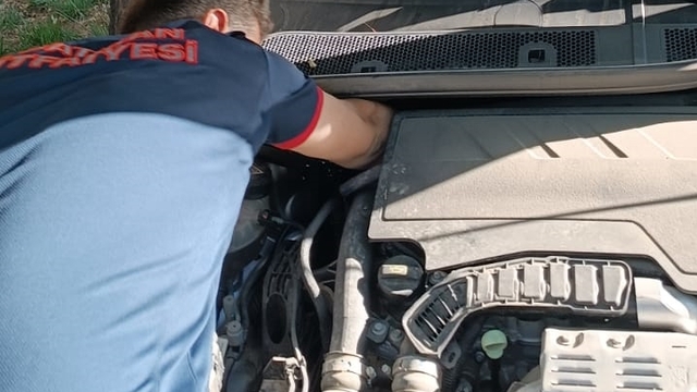 Batman'da aracın kaputuna giren kedi yavrusu kurtarıldı