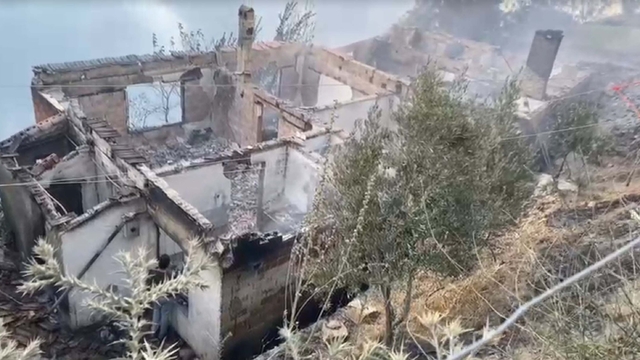 Ödemiş'teki orman yangını 2'nci gününde: 1 ölü (2)