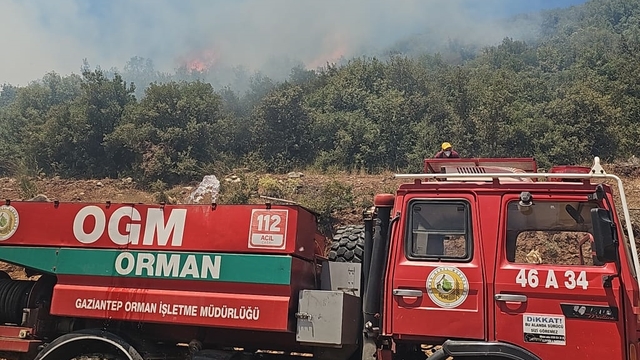 Gaziantep'te çıkan orman yangını kontrol altına alındı