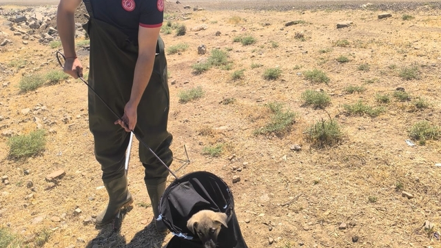 Batman'da sulama kanalına düşen köpek yavrusu kurtarıldı