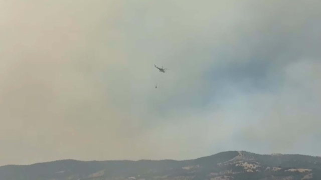 Ödemiş'teki orman yangını 2'nci gününde: 1 ölü (3)