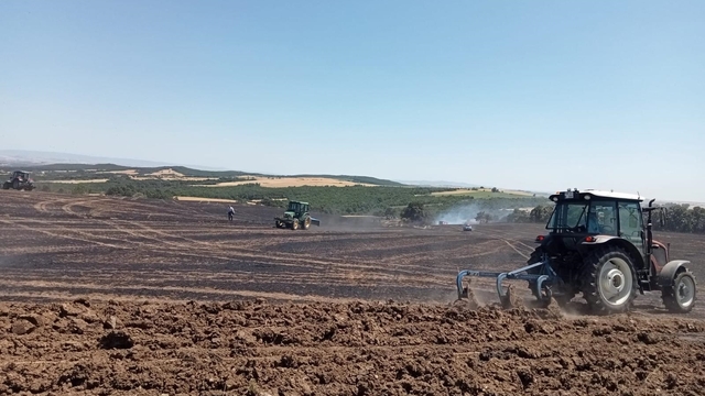 Tekirdağ'da buğday tarlasında çıkan yangın söndürüldü
