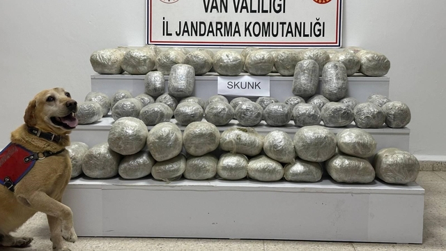 Van'da 97 kilo skunk ele geçirildi