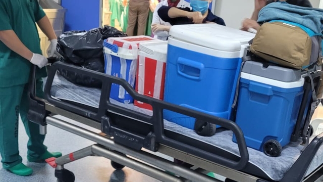 Beyin ölümü gerçekleşen hastanın organları umut oldu