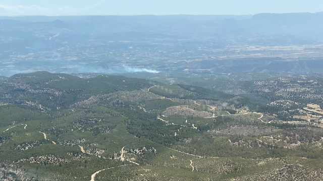 Mersin'de orman yangını