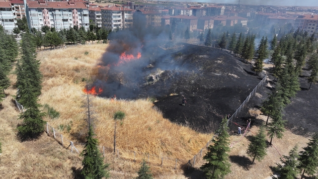 Edirne'de tarihi tabyanın bulunduğu alanda çıkan yangın söndürüldü