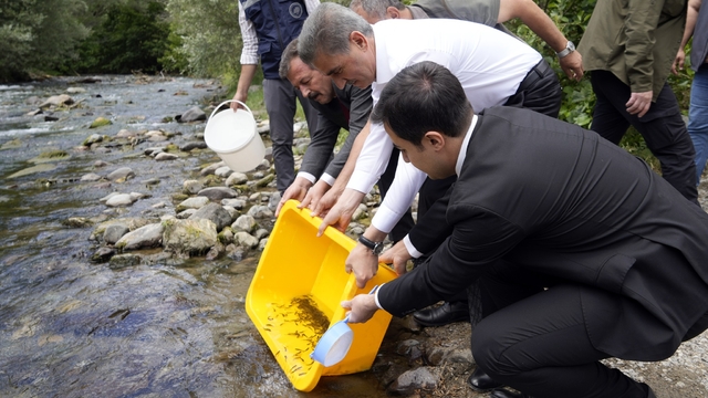 Gümüşhane'deki Çit Deresi'ne 10 bin alabalık yavrusu bırakıldı