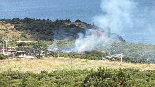 Kocaeli'de makilik alanda çıkan yangın kontrol altına alındı