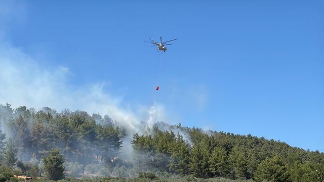 Muğla'da orman yangını (2)