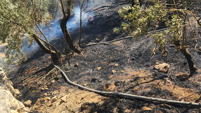 Mudanya'da zeytinlik alanda çıkan yangın söndürüldü