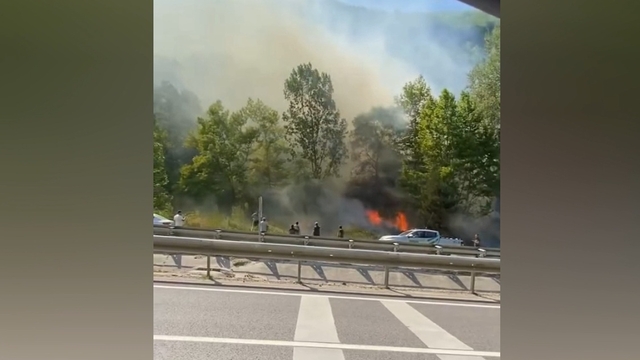 Bursa'da ağaçlık alanda çıkan yangın söndürüldü