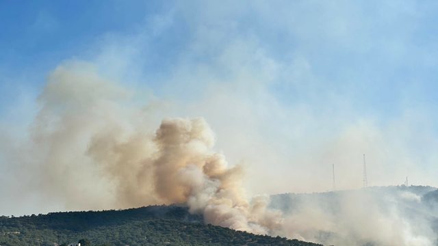 Uşak'ta meşelik yangını