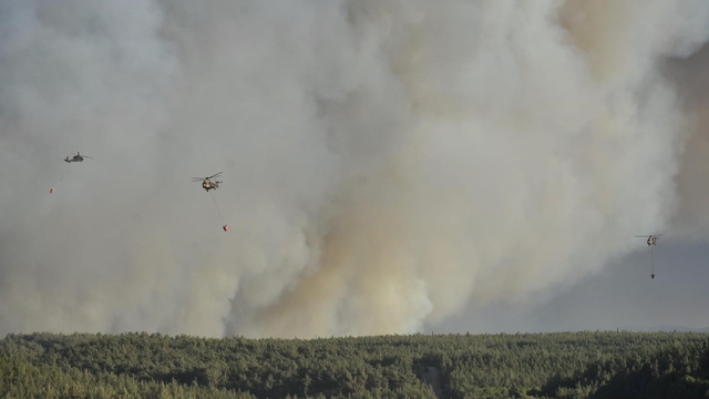 İzmir Buca'da orman yangını (2)
