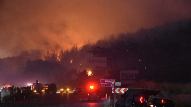İzmir Buca'da orman yangını (3)