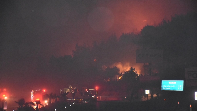 İzmir Buca'da orman yangını (4)