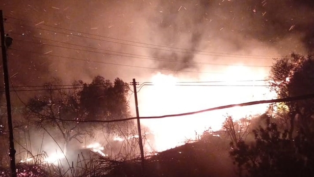 Mersin'de ağaçlık alanda çıkan yangın kontrol altına alındı