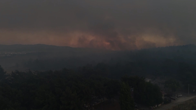 İzmir Buca'da orman yangını (5)