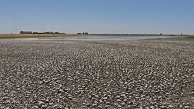 Diyarbakır'da 150'den fazla türe ev sahipliği yapan 'kuş cenneti'nde kuraklık tehdidi