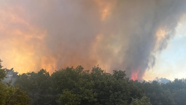 Eskişehir'de çıkan orman yangınına müdahale ediliyor