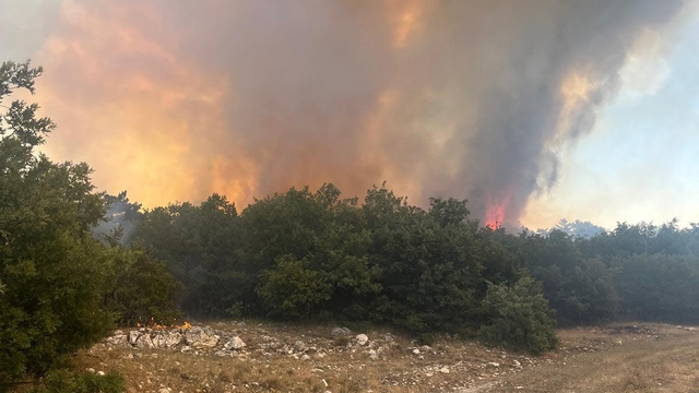 Eskişehir'de orman yangını