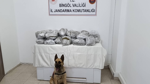 Bingöl'de 49 kilo 600 gram esrar ele geçirildi