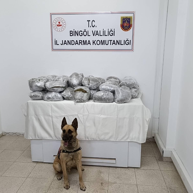 Bingöl'de 49 kilo 600 gram esrar ele geçirildi