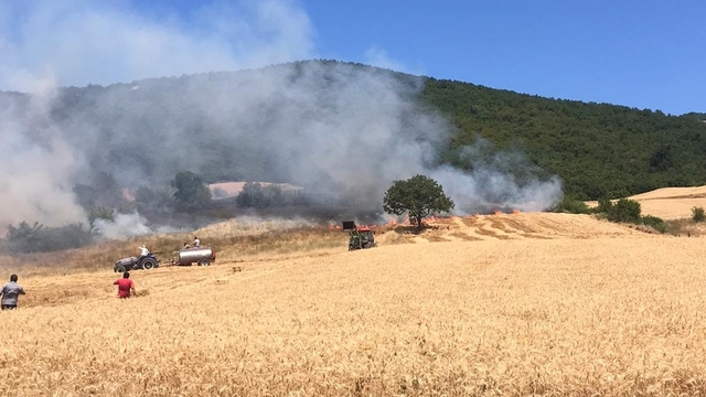 Bursa'nın Yenişehir ilçesinde çıkan orman yangınına müdahale ediliyor