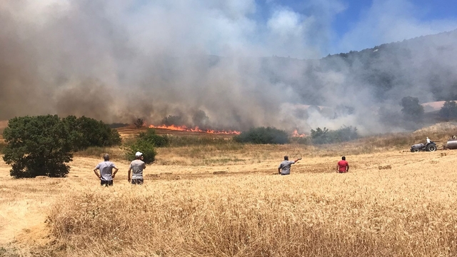 Bursa'da anız yangını ormana sıçradı