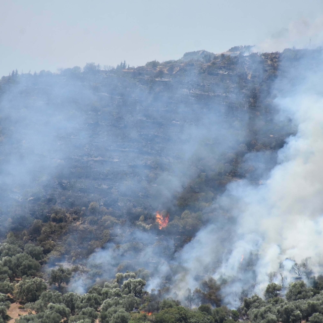 Ödemiş'teki orman yangını 3'üncü gününde (4)