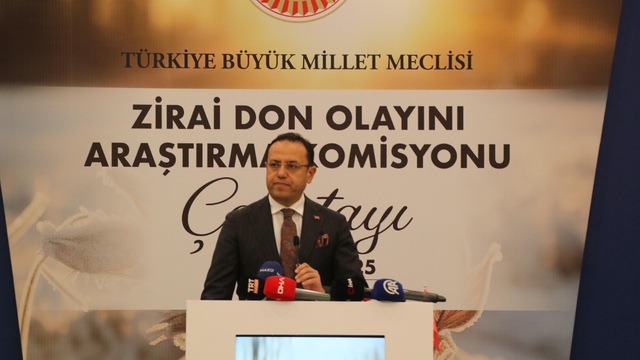 Bakan Yardımcısı Gizligider: 7 günde 624 orman yangını çıktı, son 3'ü kısmen kontrol altında