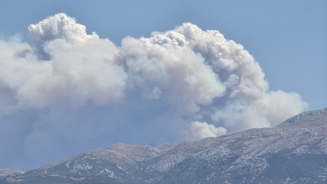 Suriye'de sınıra yakın bölgede orman yangını