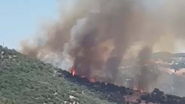 Balıkesir'de orman yangını