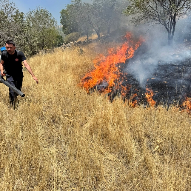 Mardin'de ormanlık alanda çıkan yangın söndürüldü