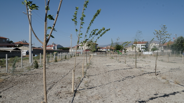 Kazada hayatını kaybeden özel harekat kursiyeri Ergin'in adı Karapınar'da parkta yaşatılacak