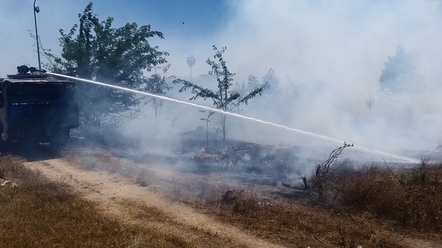 Ceyhan'da otluk alanda çıkan yangın söndürüldü