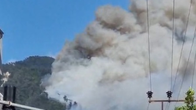 Hatay'da orman yangını
