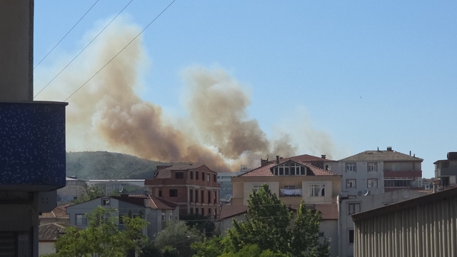 Kocaeli'de ağaçlık alanda çıkan yangına müdahale ediliyor